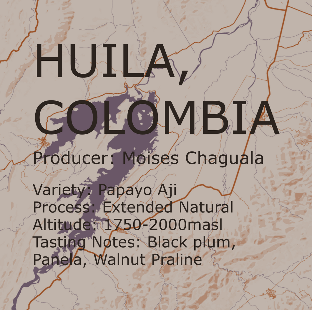 Colombia Moises Natural Extended Fermentation